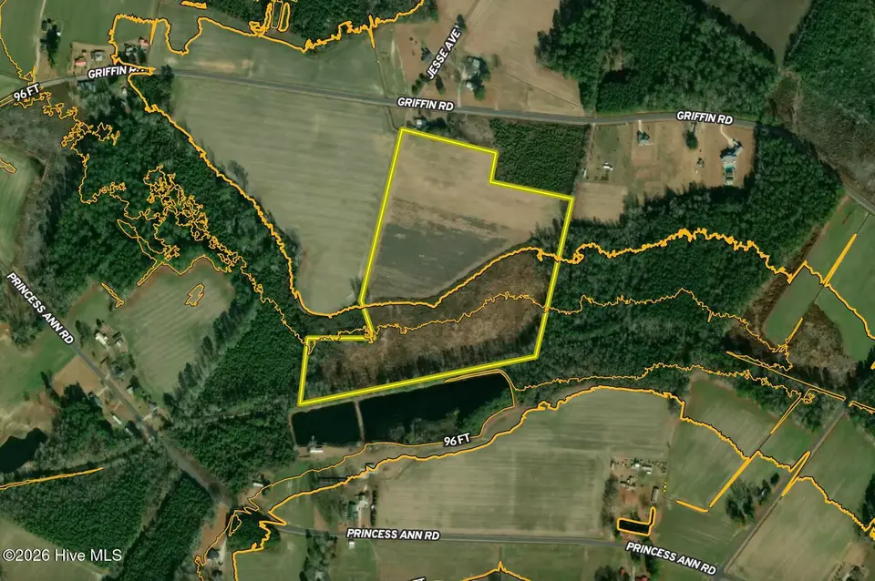 651 Griffin Road, Chadbourn, NC 28431 – photo 1 of 1: Aerial 1