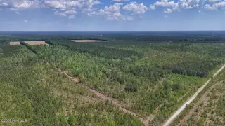0 7 Guinea Mill Road, Ernul, NC 28527 – photo 15: 15