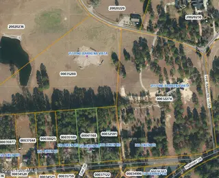 320 Aiken Road, Southern Pines, NC 28387 – photo 3: 320 Aiken Rd Aeriel