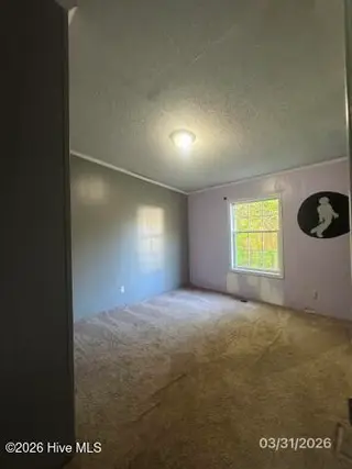 210 Haws Run Road, Jacksonville, NC 28540 – photo 18: unnamed (1) (Small)