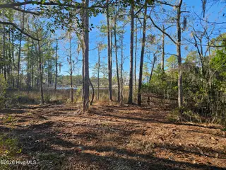 47 Sunset Point Road, Belhaven, NC 27810 – photo 9: 20251209_141540