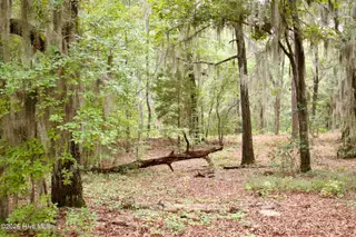 385 Sand Ridge Road, New Bern, NC 28560 – photo 15: IMG_4501