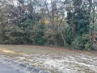 408 Lot 4, La Grange, NC 28551 – photo 12: Road Frontage