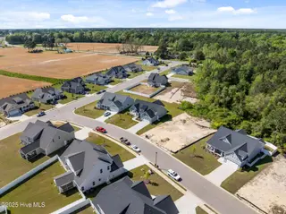 911 Hunter Grace Drive, Winterville, NC 28590 – photo 6: 6-web-or-mls-DJI_0166