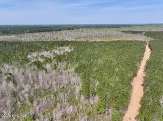 0 15 Guinea Mill Road, Ernul, NC 28527 – photo 14: 14