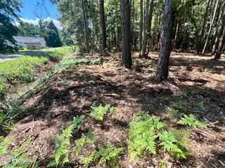 Lot 3 Elm Street, Belhaven, NC 27810 – photo 5: IMG_7293