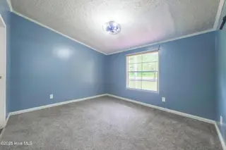 6231 Sam Potts Highway, Hallsboro, NC 28442 – photo 11: 1-3 v