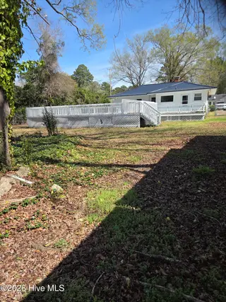 604 Hines Avenue, Kinston, NC 28504 – photo 15: Backyard view