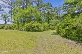 5202 Bucco Reef Road, New Bern, NC 28560 – photo 10: 5202 Bucco Reef Road