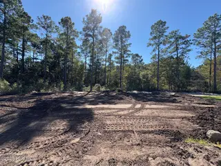 6223 Raystone Way 132, Leland, NC 28451 – photo 19: Backyard