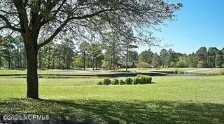 1733 Caracara Drive, New Bern, NC 28560 – photo 6: Nature Area