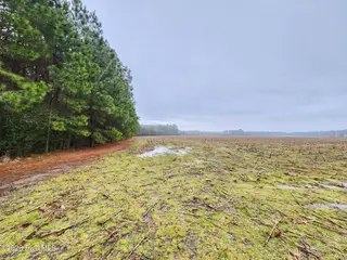 Tbd Ramsey Ford Road, Tabor City, NC 28463 – photo 5: 11