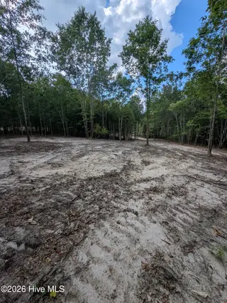 2r-4 2R-4 Peyton Drive, Eagle Springs, NC 27242 – photo 5: PXL_20260707_210508611