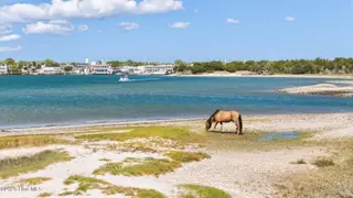 313 Cedar Street, Beaufort, NC 28516 – photo 23: 53-web-or-mls-DJI_20260505154000_0801_D