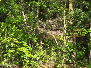 Tbd 35-40 Cabins Creek Road, Vass, NC 28394 – photo 6: 20260508_163454