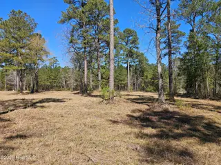 Lot 32 32 Bailey Pointe Drive, Belhaven, NC 27810 – photo 16: 20260319_125958