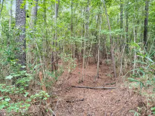 Lot 45 45 Near 519 Deer Lane, Tabor City, NC 28463 – photo 7: IMG_20260830_142117170_HDR_AE