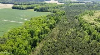 Off Speights Chapel Road, Whitakers, NC 27891 – photo 23: DJI_0592