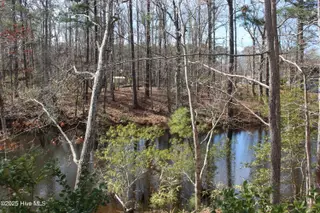 4507 Rivershore Drive, New Bern, NC 28560 – photo 7: view 4 of the pond