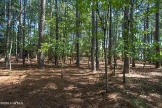 245 Pine Vista Drive, Pinehurst, NC 28374 – photo 2: 245 Pine Vista LOT
