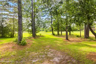 1223 Pelican Drive, New Bern, NC 28560 – photo 22: Backyard