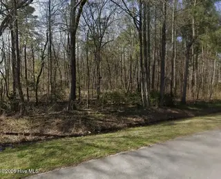 161 Old Washington Road, Vanceboro, NC 28586 — lot, Vanceboro, NC, photo 4 of 4: 04-Photo 4