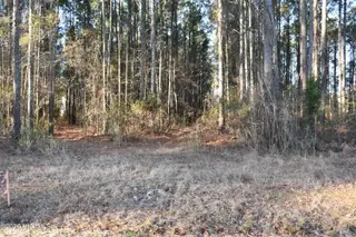 97 Mcgowan Road, Bath, NC 27808 – photo 4: Lot 97