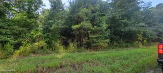 Lot 1 1 Sr 1178 Highway, Chocowinity, NC 27817 – photo 2: 20260816_082412