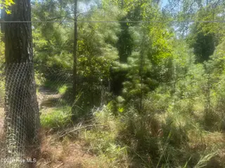 0 Bud Stephens Road, Evergreen, NC 28438 – photo 12: IMG_4428