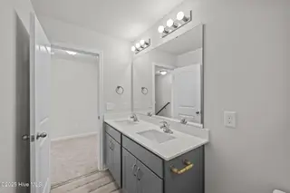2390 Mcnair Road, Tarboro, NC 27886 – photo 23: Hall Bath pic 2