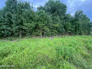 00 Near 1008 N Brown Street, Chadbourn, NC 28431 – photo 1: IMG_5259