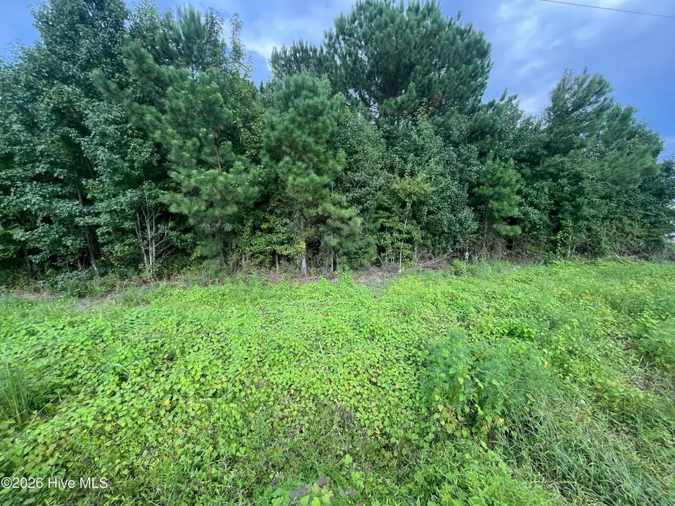 00 Near 1008 N Brown Street, Chadbourn, NC 28431 – photo 1 of 5: IMG_5259