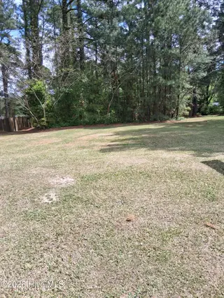 705 Fitzgerald Drive, Kinston, NC 28501 – photo 2: 15583