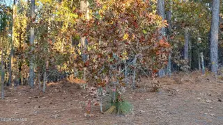 4 Brassie Circle, Jackson Springs, NC 27281 – photo 4: 20241118184212072472000000-o