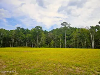 254 Ocean Pointe Boulevard SE 4401, Bolivia, NC 28422 – photo 8: more gorgeous trees