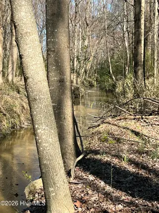 1904 Cambria Drive B, Greenville, NC 27834 – photo 12: The creek
