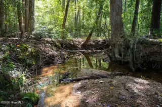 Tbd Dunhams Creek Lane, Carthage, NC 28327 — lot, Carthage, NC, photo 22 of 22: DSC07279