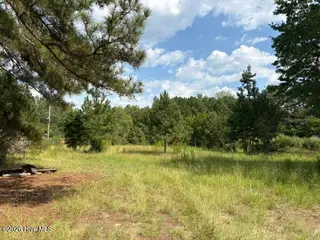 3832 11 Watson Seed Farm Road, Whitakers, NC 27891 – photo 1: 3832 Watson Seed Farm Picture