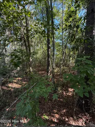 0 17 Eagle View Lane, Blounts Creek, NC 27814 – photo 4: 002