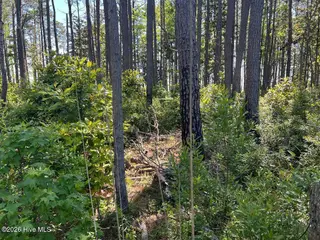 570 5 6 7 Highway 70, Smyrna, NC 28579 – photo 3: 560-4