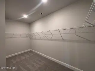 126 Firethorn Circle, Wallace, NC 28466 – photo 22: Primary Walk-in Closet