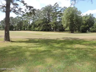 209 Shoreline Drive, New Bern, NC 28562 – photo 17: DSCN1643