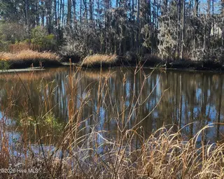 3806 Appleton Way, Wilmington, NC 28412 – photo 20: 20260119_143933