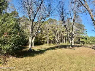 0 Near 4294 James B Wh, Whiteville, NC 28472 – photo 2: IMG_2766