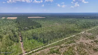 0 6 Guinea Mill Road, Ernul, NC 28527 – photo 11: 11