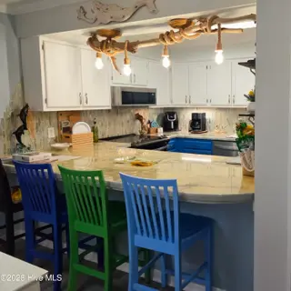 650 Salter Path Road 203, Pine Knoll Shores, NC 28512 – photo 10: 1000013652 (1)