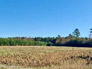 0 Near 4294 James B Wh, Whiteville, NC 28472 – photo 13: IMG_2782