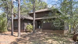 155 Harmony Lane, Southern Pines, NC 28387 – photo 11: 4-web-or-mls-DJI_20240523122938_0899_D