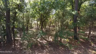 Lot 47 47 Ward Drive, Dudley, NC 28333 – photo 4: DJI_0695
