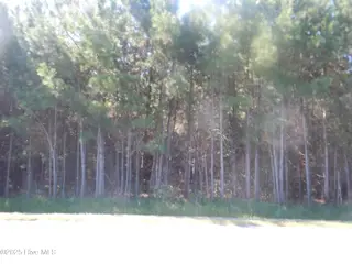 Near 10547 Andrew Jackson Highway SW, Fair Bluff, NC 28439 – photo 4: DSCN9932